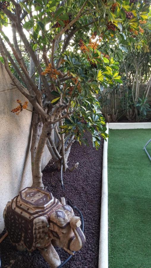 شقة Apartamento Con Jardin Y Piscina En El Balancon El Médano المظهر الخارجي الصورة
